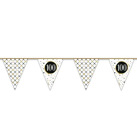 100 Years Flags