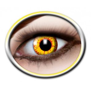 3 Month lenses ork