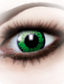 3 Month lenses Reptil