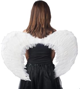 Angel wings