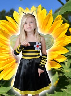 Bee dress