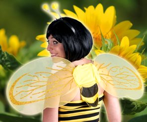 Bee sets of headgear and wings
