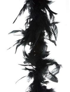 Boa black 1.5m