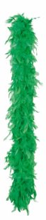 Boa vert