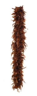 Brown boa