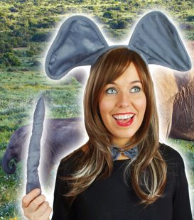 Elephant set