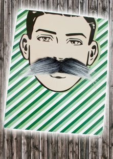 Gray mustache