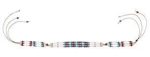 Indiaan Riem