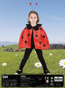 Ladybug cape and antennae