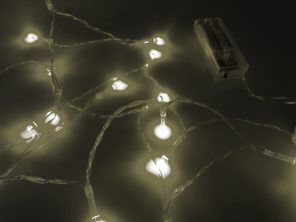 Led lichtjes wit 20 lichtjes 2m