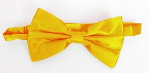 Light orange bow tie