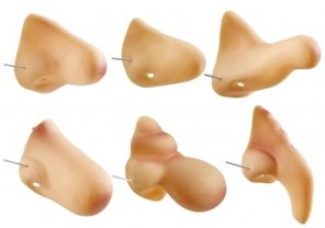 Nose
