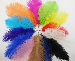 Plume/feather ostrich colored 50 cm