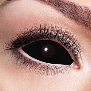 Sclera black eye 6-month lenses