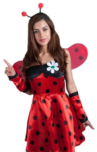 Sexy Lieveheersbeestje Kever