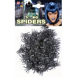 Spiders