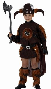 Viking Girl Costume