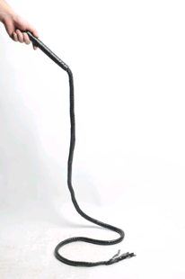 Whip/lash