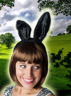 Zwarte Bunny Konijnen oortjes