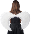 Angel wings