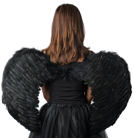 Angel wings