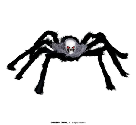 araignée 60 cm