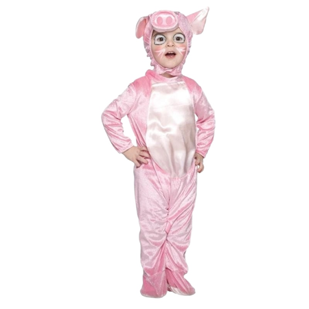 Baby Varkentje pluche dier kostuum