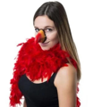 Bird/parrot beak beak