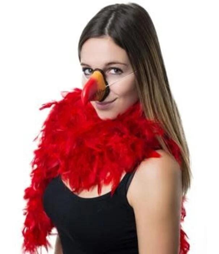 Bird/parrot beak beak