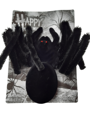 Black spider