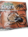 Black widow spider