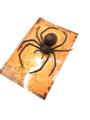 Black widow spider