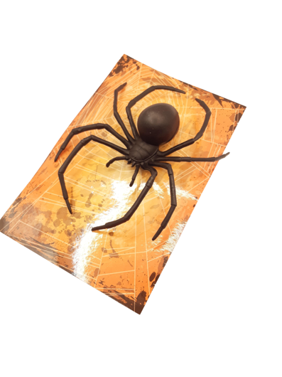 Black widow spider