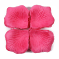Bloemblaadjes fuchsia