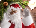 Bonnet de noël avec perruque, barbe, sourcils