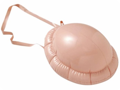 Bosse/Ventre Gonflable