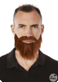 brown beard and mustache