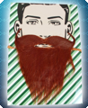 Bruine viking baard en snor