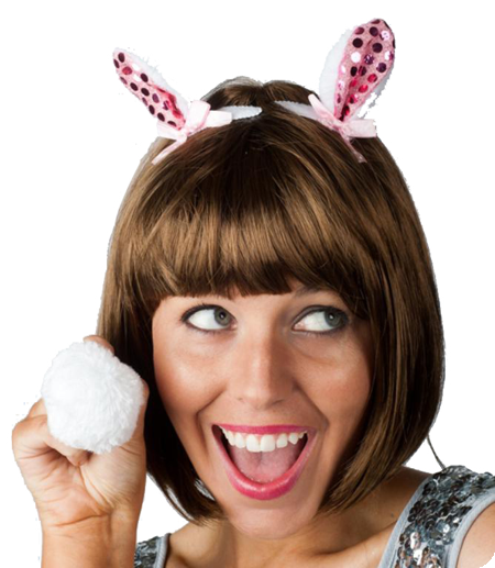 Bunny oortjes en staart op clips