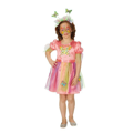 Butterfly Girl Costume