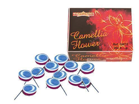 CAMELLIA FLOWER