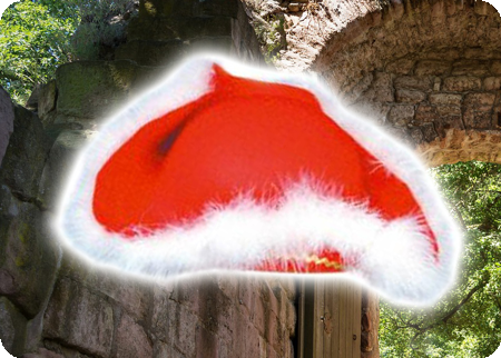 Chapeau triangle avec plumes blanch