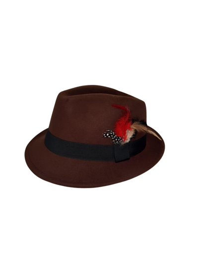 Chapeau tyrolien de luxe avec plume marron