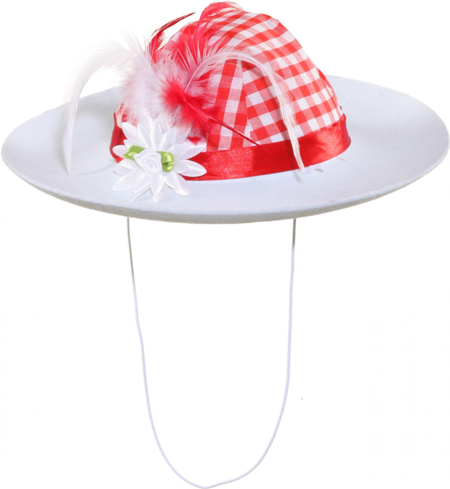 Chapeau tyrolien pour dames