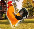 Chicken decoration