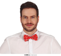 christmas bow tie