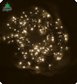 Christmas lights 100 white warm LED