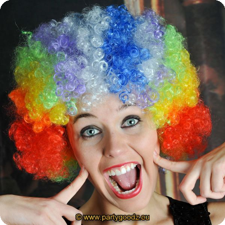 Clown perruque multicolor