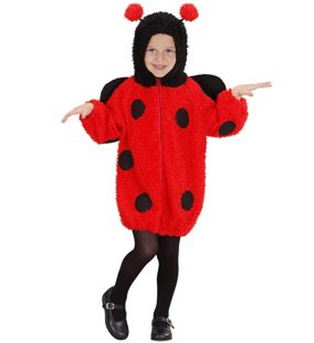 costume de coccinelle floue