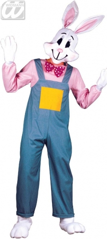 Costume de lapin de Pâques/jardin